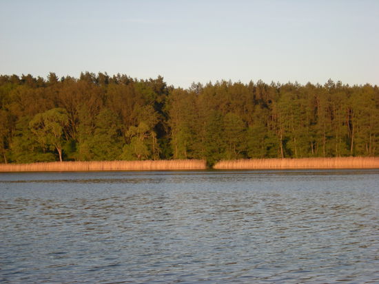 Die Sonne vergoldet unseren letzten Abend in der Müritz.