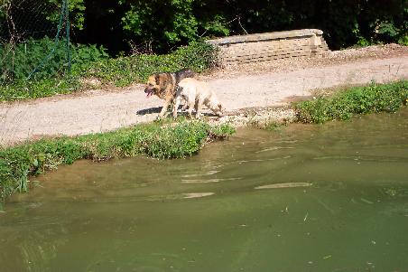 und im Kanal hat sich nichts geändert, er ist einfach zu hoch