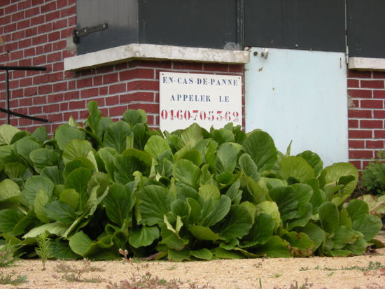 es wir schon vorgewarnt: Im Falle einer Panne... Telefonnummer
