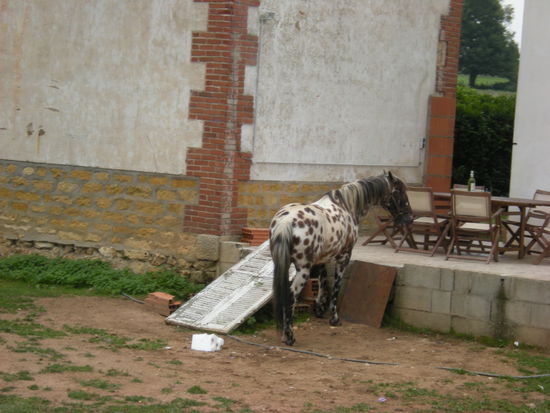 Pipi Langstrumpf war auch da