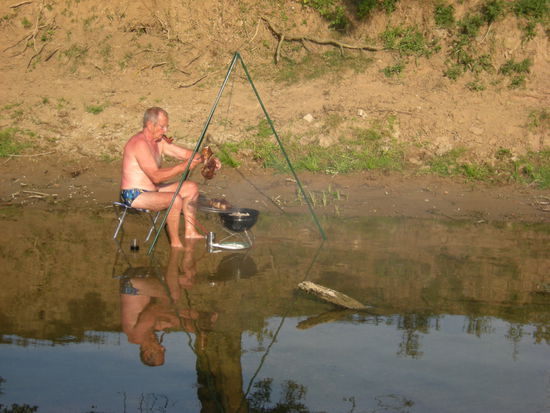 Glaubt ihr, das das gut ging? Lest es selber nach. "Beluga in Gallien"