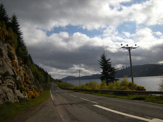 wir machen uns auf um sie zu suchen...