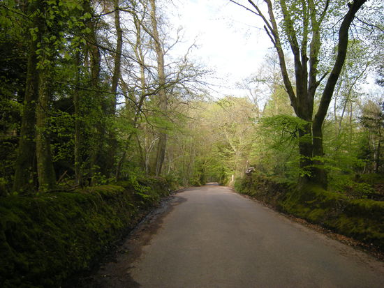 endlich wird es etwas breiter