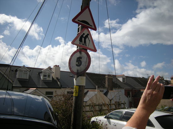 Warnung vor Bodenschwellen - Boing-Boings- und Rentnern!!!!!!