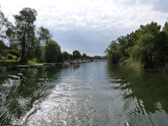 Tschüss Lampertheimer Altrhein