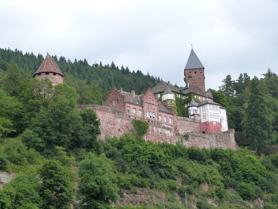 Zwingenberg
Das Schloss Zwingenberg wurde erstmals 1326 urkundlich erwähnt. Die ursprünglichen Eigentümer wurden 1363 von der Burg vertrieben, da diese als Raubritter galten. Anschließend wurde die Anlage im Auftrag des Kaisers geschleift. 1403 wurde die Burg von den Herren von Hirschhorn wieder aufgebaut. 
Seit 1983 finden jährlich im August ESchlossfestspiele unter freiem Himmel statt. Dabei steht die Oper "Der Freischütz" von Carl Maria von Weber im Mittelpunkt