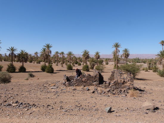 die Eisdiele ist am Wachsen