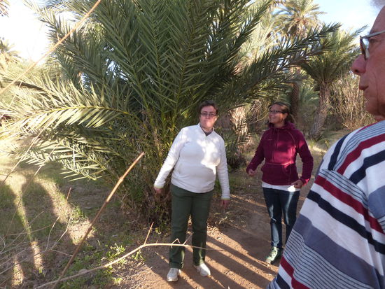 die Burgherrin erklärt uns ihre Casbah