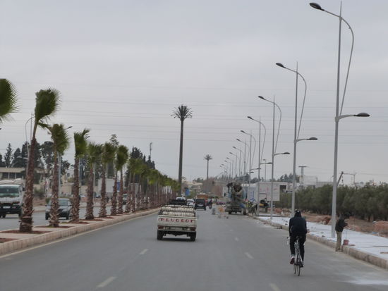 keine echte Palme, eine Antenne