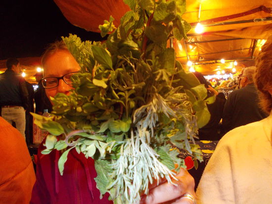 aus dem Kraut wird der Tee gebrüht