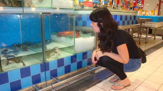 Muss die Prinzessin den Frosch küssen oder an die Wand werfen? Oder gar Gulasch kochen?