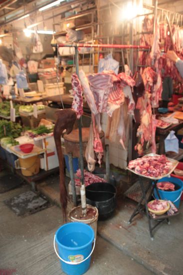 das braune Teil links ist ein Ochsenschwanz - glaube ich