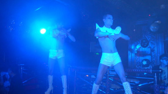 Polyestertierchen bei der Arbeit