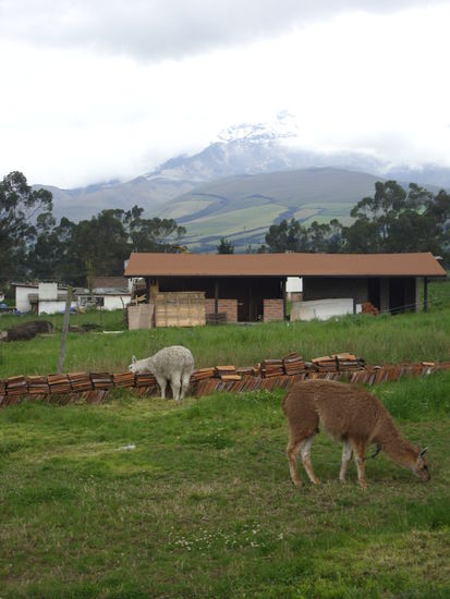 Aussicht von unserem Lunchbreak - wohlgemerkt um halb 4 und als Abschluss der Tour 