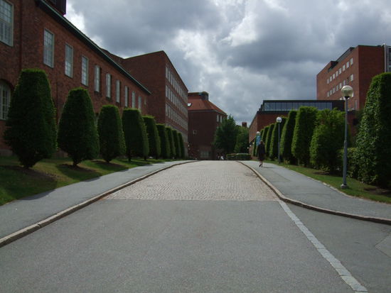 Die Uni und seine Straßen...bessere beieindruckende Bilder folgen.
www.kth.se für mehr Infos