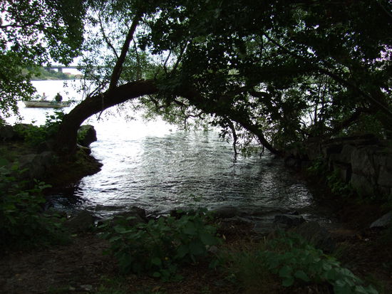 Eine von vielen urigen Badebuchten auf Långholmen. Eine sehr schöne Insel mitten in Stockholm (da haben die Schweden auch ihre Kleingärtner drauf)