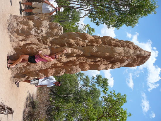 Ich und der riessen Termietenhuegel