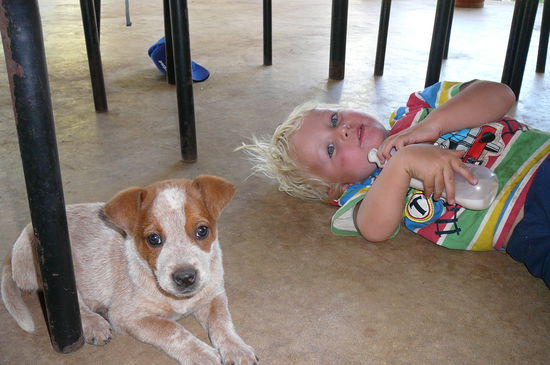 Friedlicher Puppy und friedlicher Rougi - das kommt auch nicht oft vor