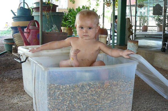 Tiggi im Vogelfutter