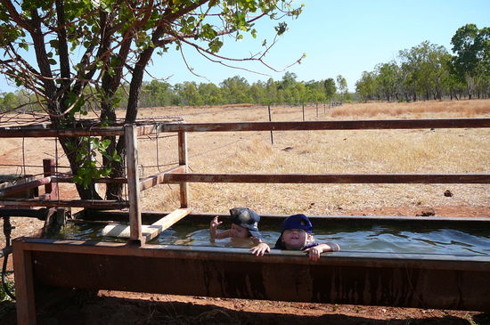 Eigentlich nennt man es Kuhtraenke