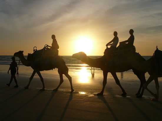 Carmen und ihr Kamel sind die Anfuehrer und dann kommen auch schon wir