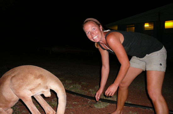 Am Campingplatz in Tom Price
Doch das Kaengeru war schneller