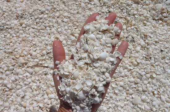 Der ganze Strand besteht aus Muscheln. Nicht so bequem wie Sand, but it looks good!