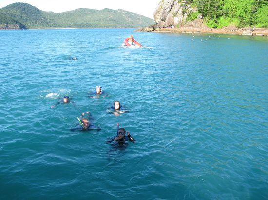Schnorcheln am Great Barrier Reef