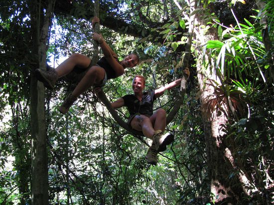Turnstunde im Regenwald