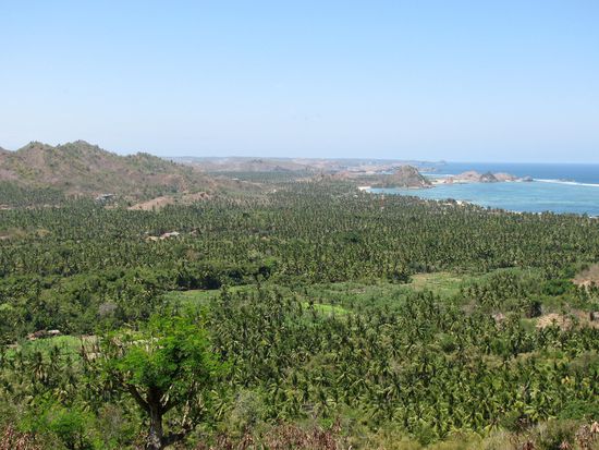 Welcome in Lombok!
Blick auf Kuta - Lombok