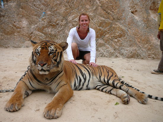 Bitte nicht fressen...