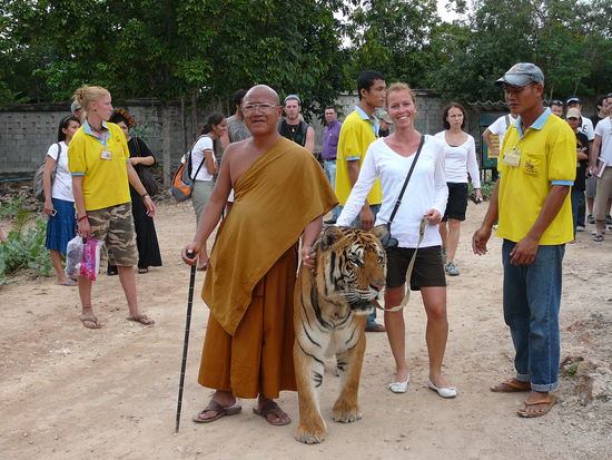 So jetzt bringen wir mal die Tiger nach Hause...
