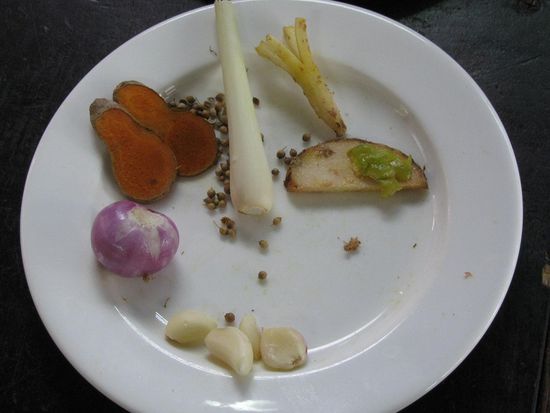 Zutaten fuer meine Currypaste plus mio. chilli