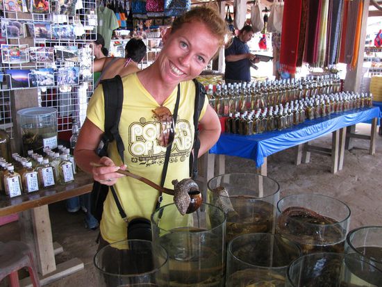 Kleiner Abstecher nach Laos zum kosten von
Whisky mit Gekkos, Schlangen, Skorpionen...