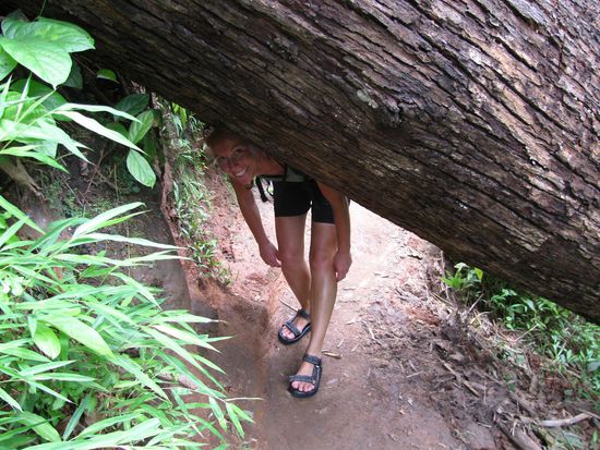 Auf dem Weg zum Wasserfall...