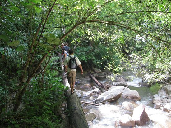 Balance halten oder....???