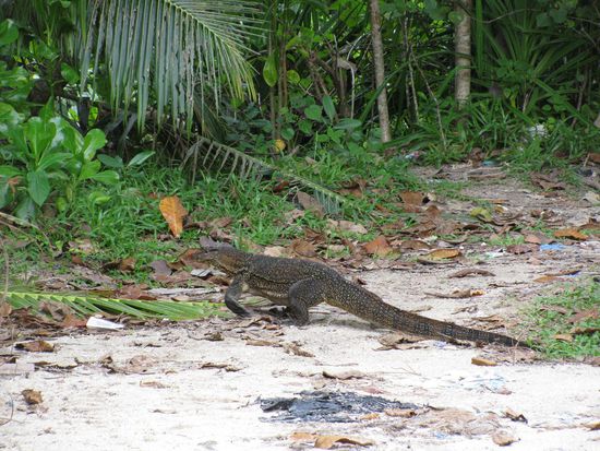On the way auf unserer Insel Trekkingtour