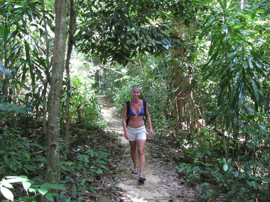 Walkingtrack from Long Beach to Coral Bay