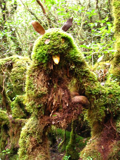Mossy Monster