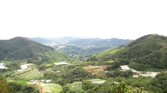 Blick ins Tal und verschiedene Plantagen