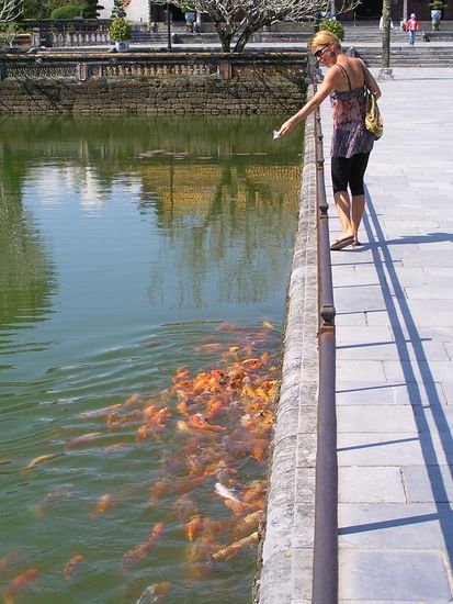 Beim Fischi's fuettern
Wie sie alle folgen!