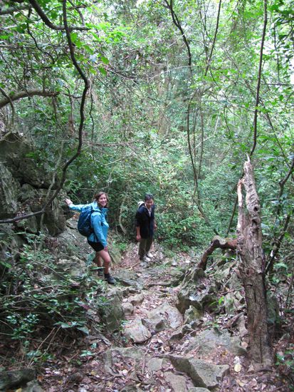 Verrueckte Trekkingtour