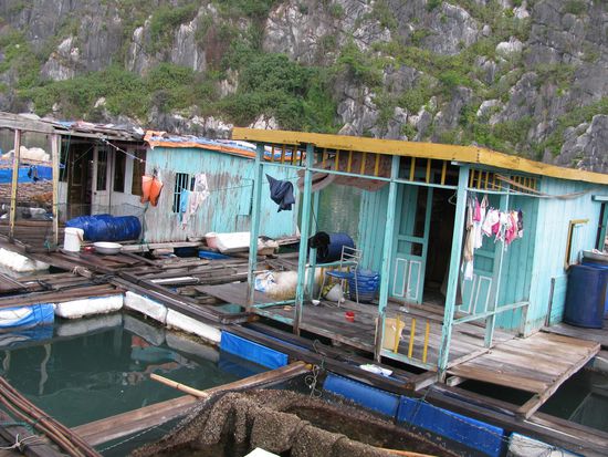 In der Fishing Village. Und auch wir angelten ein paar Fischis fuer die Suppe!