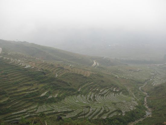 Mehr lies der Nebel und Regen nicht zu!
Mit bissle Sonne haette alles echt toll sein koennen...