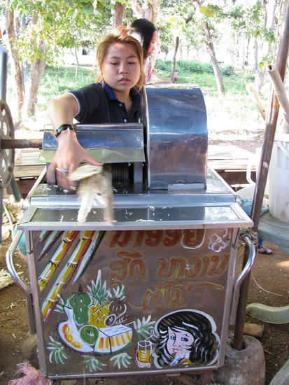 One Sugarcane please!