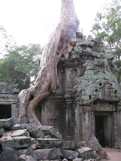 Ta Prohm my favourit