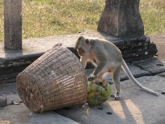 Auch fuer ihn gabs nen Fruehstueck