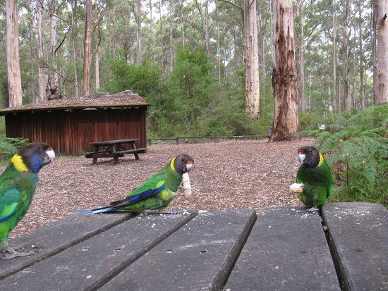 D'Entrecasteaux National Park
