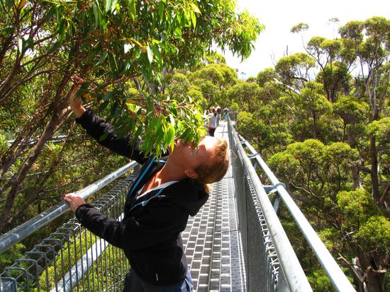 Einmal fuehlen wie ein Koala