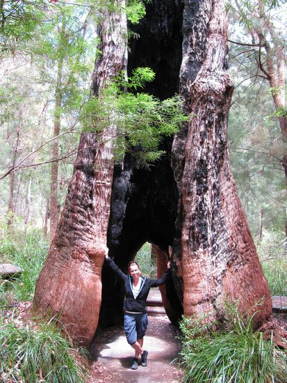...und zum Schluss durch die Baeume